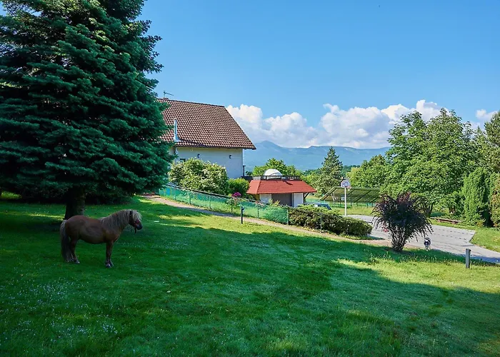 Pod Brzeznikiem Вилла Bukowiec (Lower Silesia)